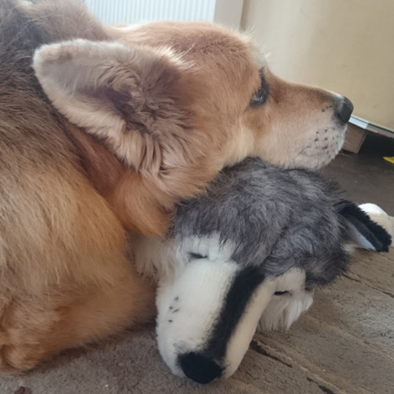 hazel cuddling ellie